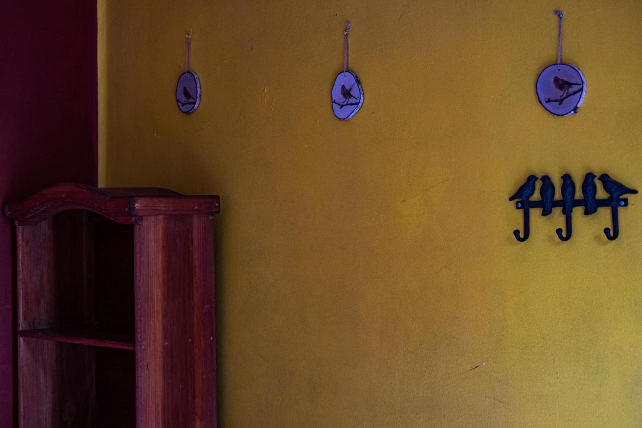 Hostal Pochon Oaxaca Exteriör bild